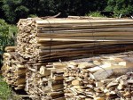 Okrajové odrezky - Palivové drevo