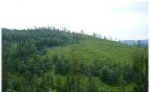 Predám 41 ha pozemkov a lesa Stará Bystrica