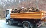 Predám štiepané palivové drevo s dovozom zdarma Košice