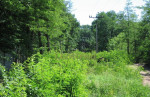 *LEON real* Pozemok, Predaj, Plavecký Štvrtok, okres Malacky, 2.649 m2 – fotka 3